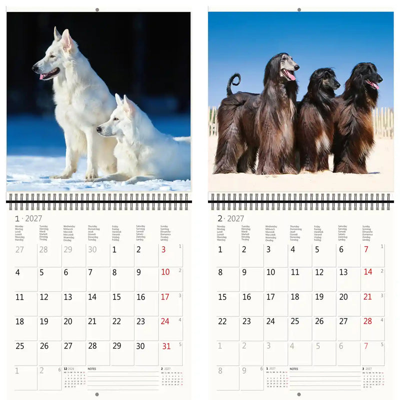 Helma 365 -  Kalender 2027 30x30cm honden
