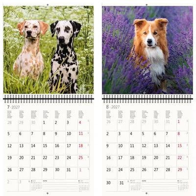 Helma 365 -  Kalender 2027 30x30cm honden