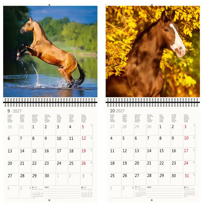 Helma 365 -  Kalender 2027 30x30cm paarden