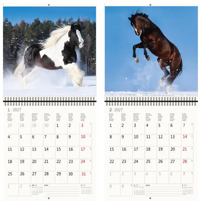Helma 365 -  Kalender 2027 30x30cm paarden