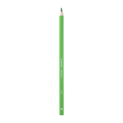 Bruynzeel -  Kleurpotlood  super 960 lichtgroen