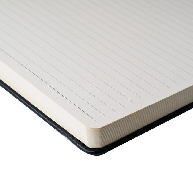 Sakura -  Notitieboek pocket lijn dennennaald | 3 stuks