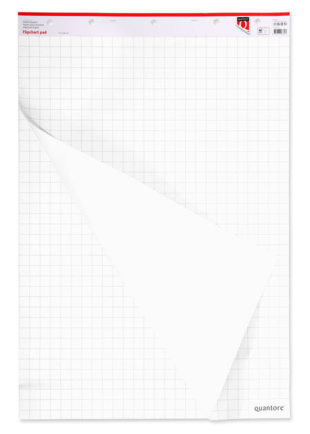 Quantore -  Flipoverpap 65x95cm blanco/ruit 74gr | 2 stuks