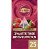 Lipton -  Thee  exclusive bosvruchten 25x2gr