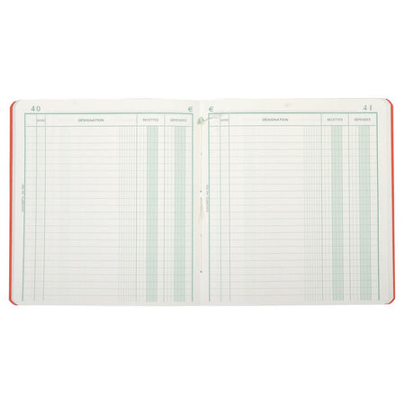 Exacompta - recettes et dépenses, pi 21 x 19 cm, en français