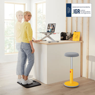 Leitz - Sit-stand desk Ergo Cozy