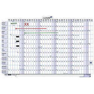 Legamaster - Jaarplanner 2025 90x60cm horizontaal gelamineerd en oprol..