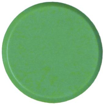 Bouhon - Bouhon magneten, 10 mm, groen, pak van 10 stuks