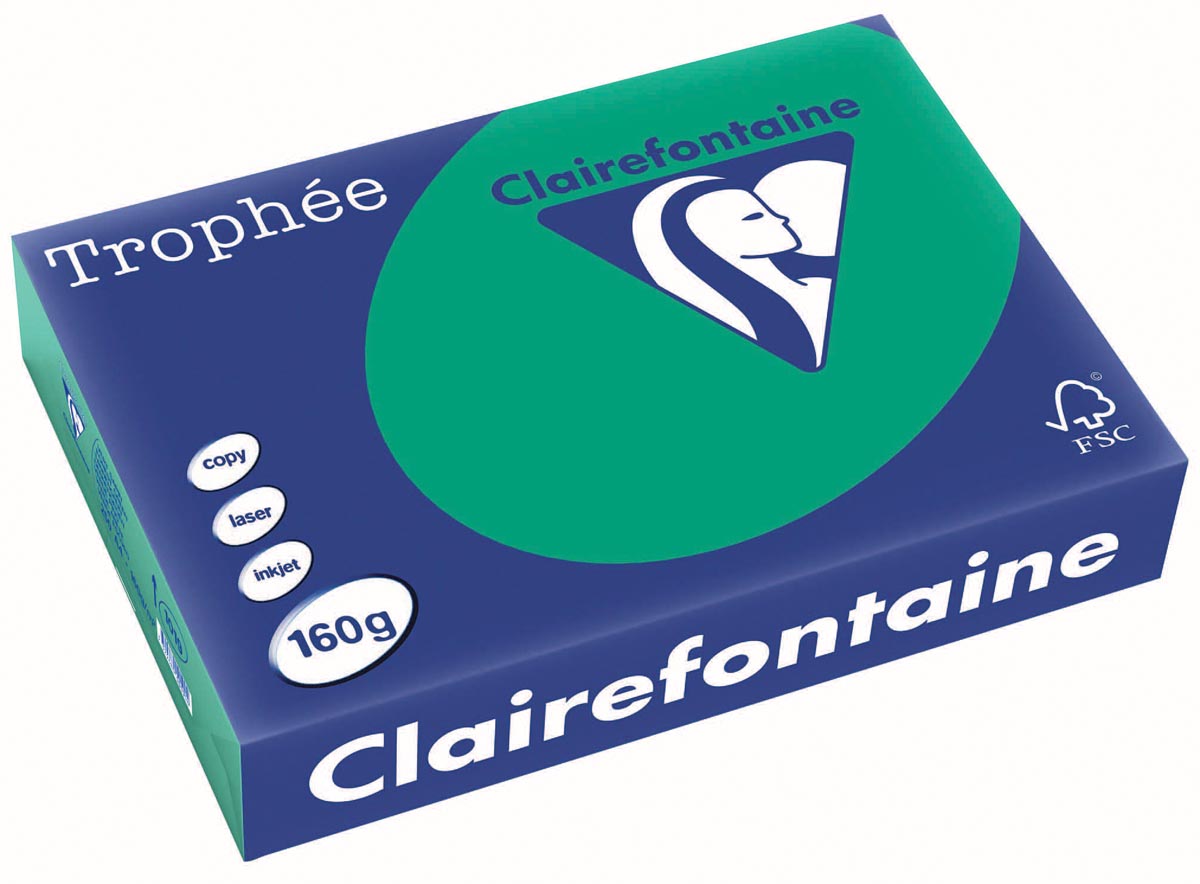 Clairefontaine - Trophée Intens, gekleurd papier, A4, 160 g, 250 vel, dennengroen