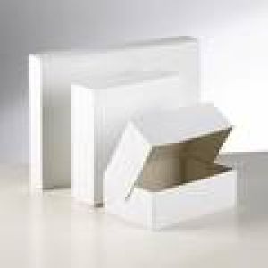 Blanco -  Gebaksdoos /wit 20x14x8cm 300 stuks