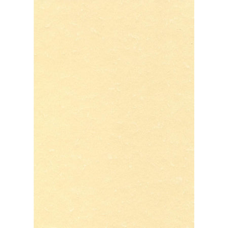 Decadry - carta strutturata champagne, 165 g, confezione da 50 fogli
