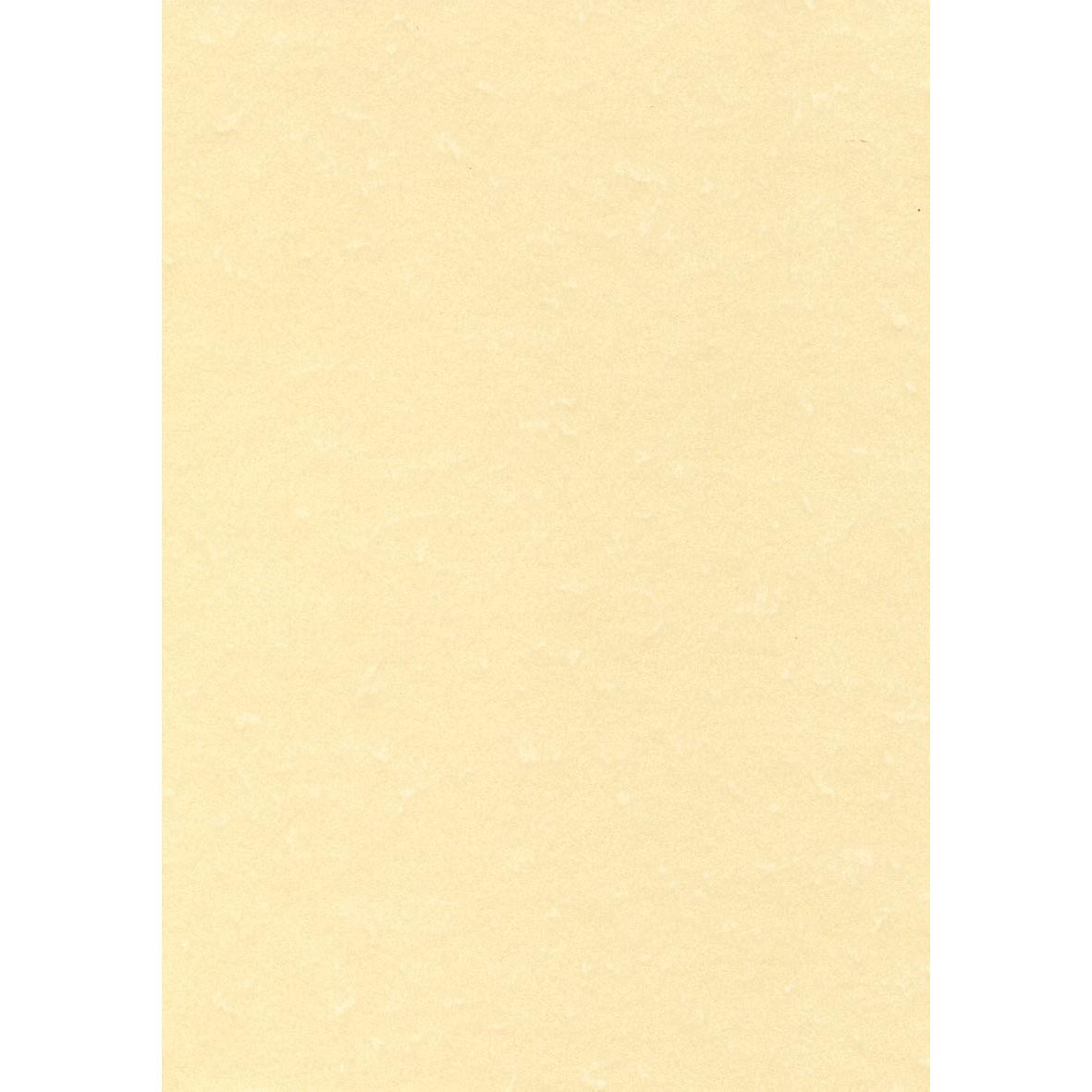 Decadry - structured paper champagne, 165 g, pack of 50 sheets