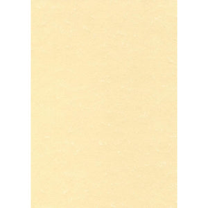 Decadry - structured paper champagne, 165 g, pack of 50 sheets