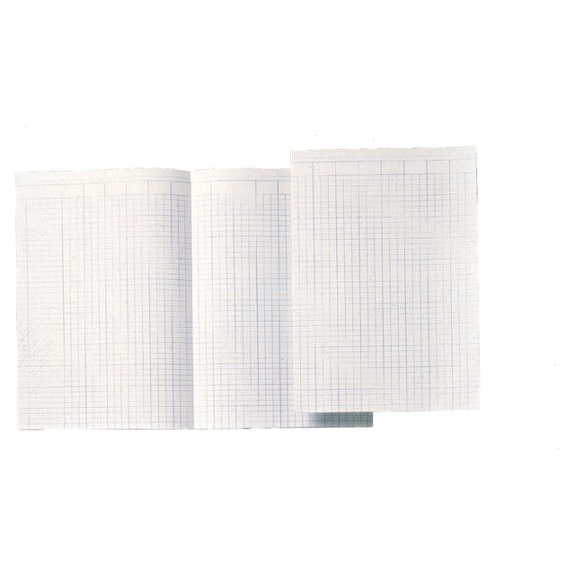 Atlanta - Accountancy Papier ATL Double A4 14kol 100vel | Pack de 100 draps