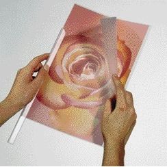 Descriptive image text