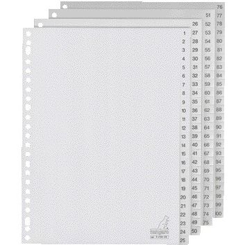 Kangaro - Tabs 23-Loch G4100CM 1-100 nummeriert grau PP | 5 Stück