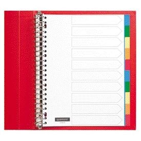 Quantore - Tabs 23-Loch 10-teilig sortierte Tabs PP | 25 Stück