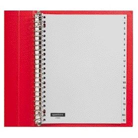 Quantore - Tabs 23 holes 20 parts with alphabet gray PP | 10 pieces