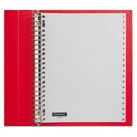 Quantore - Lengüetas 23 agujeros 1-20 numeradas PP gris