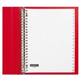 Quantore - Tabs 23 holes 1-20 numbered white PP | 10 pieces