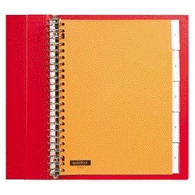 Quantore - Tabs 23 fori 5 pezzi con finestra assortiti PP | 50 pezzi