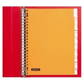 Quantore - Tabs 23 fori 10 pezzi con finestra assortiti PP