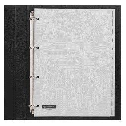 Quantore - Tabs 4-holes 12-piece with months gray PP | 10 pieces