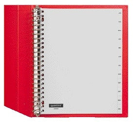 Quantore - Tabs 23 fori 12 pezzi con mesi PP grigio | 10 pezzi