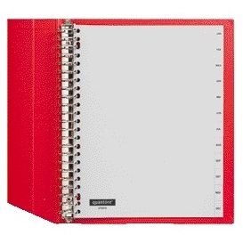 Quantore - Tabs 23 Löcher 12-teilig mit Monaten grau PP | 10 Stück