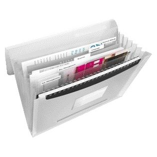 Esselte - Project folder Vivida A4 6 compartments PP white
