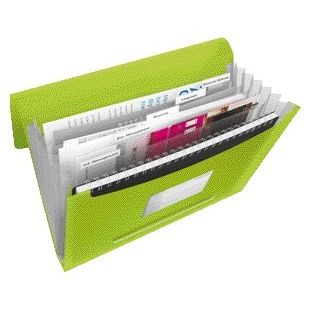 Esselte - Project folder Vivida A4 6 compartments PP green