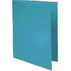 Exacompta - Carpeta plegable Forever A4 170gr celeste 100 piezas