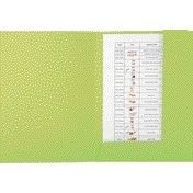 Quantore - Carpeta archivadora Forever A4 2 solapas 290gr verde | 50 piezas