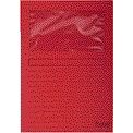 Exacompta - Cartella con finestra Forever modello L 120gr rosso 100 pezzi