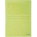 Exacompta - Cartella con finestra Forever modello L 120gr verde chiaro 100 pezzi