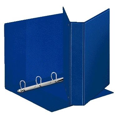 Esselte -  Presentatieringband panorama A4 4-rings D-mechaniek 20mm PP blauw | 10 stuks