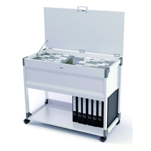 Langlebig – Hängeregistratur Junge 3787 Multi Grau
