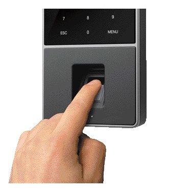 TimeMoto - Système d'enregistrement du temps TM-828 SC