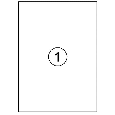 Quantore -  Etiket 210x297mm 100 stuks