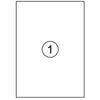 Quantore - Etichetta 210x297mm 100 pezzi
