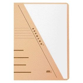 Djois -  Insteekmap  sec a4 recy 250gr chamois | 100 stuks