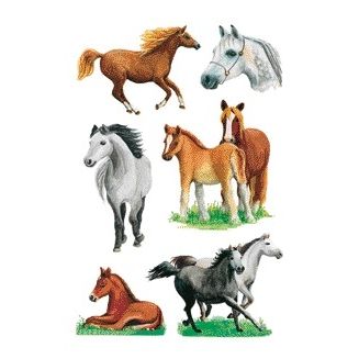 HERMA - Etiqueta 3553 razas de caballos | 10 piezas