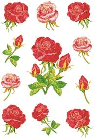 HERMA -  Etiket  3581 rozen