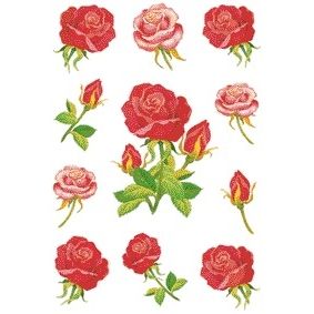 HERMA - Etichetta 3581 rose