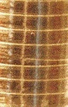 Haza -  Polyband  5mm x 250m metallic goud