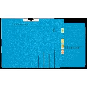 Quantore - Collection folder Djois A4 lateral recycled blue