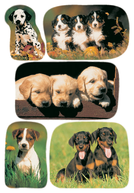 HERMA - Etiket herma 3528 honden | 10 stuks