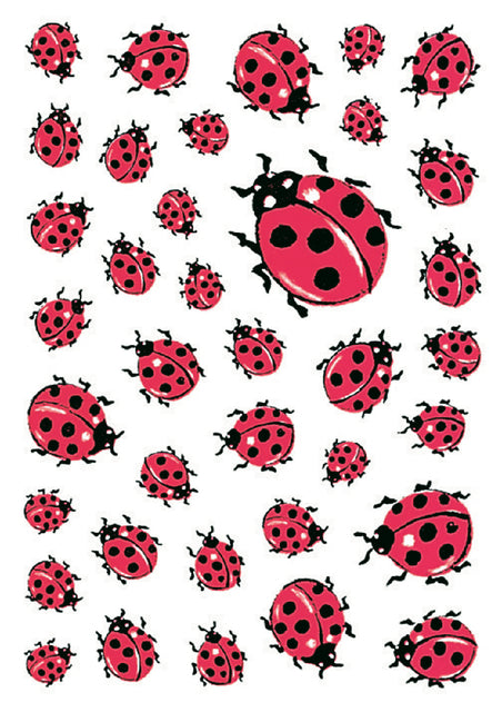 Herma - Label 5439 Ladybug | 10 Stücke