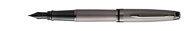 Waterman - Expert Metallic Silver RT Fountain Pen