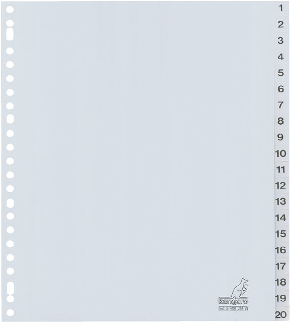 Kangaro - Tabblad kangaro g420cm-b a4 23r pp 20dlg 1-20 bd